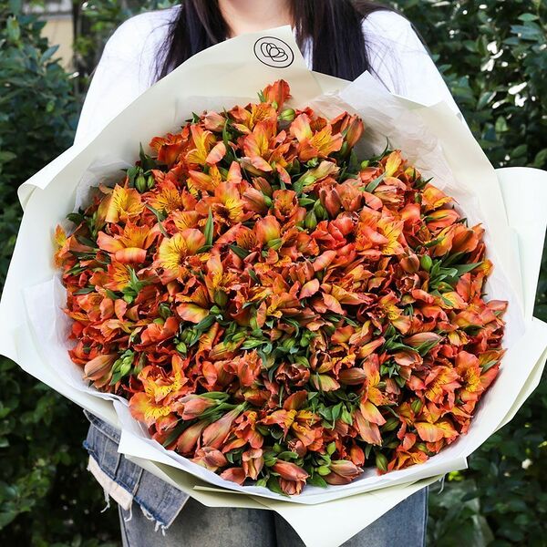 Букет из 51 оранжевой альстромерий