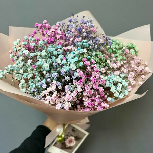 Радуга из гипсофилы