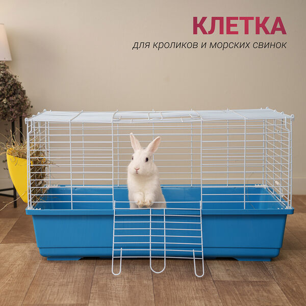 Клетка для кроликов и морских свинок Petmax Guido 79x46x43 см синий