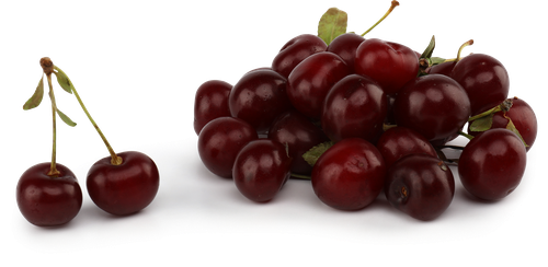 

Вишня Фруктовая лавка вес