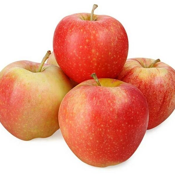 Яблоки Роял Гала весовые