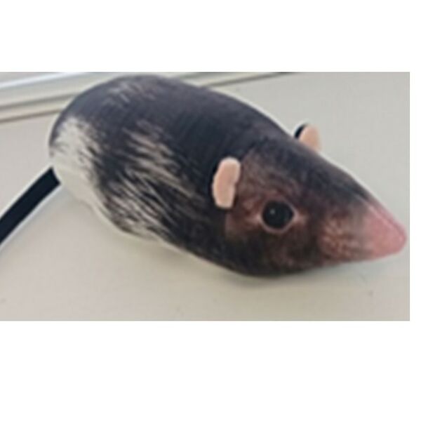 Игрушка мягконабивная ТОП Крыска