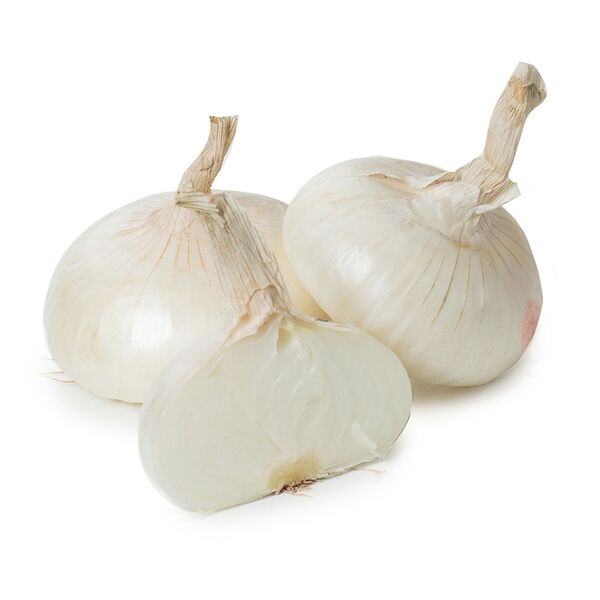 Лук плоский белый