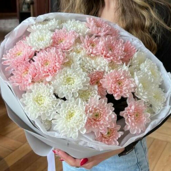 Моно из нежных хризантем #34