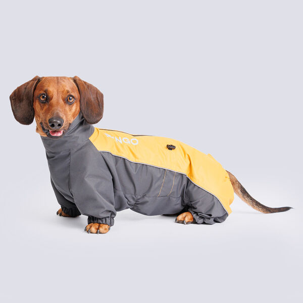 Дождевик Rungo Такса средняя девочка горчица