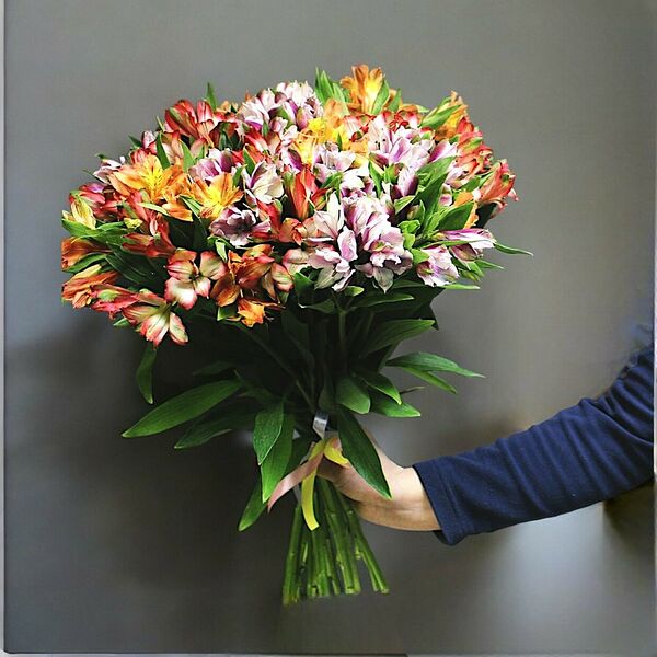 Букет из 35 альстромерий №818