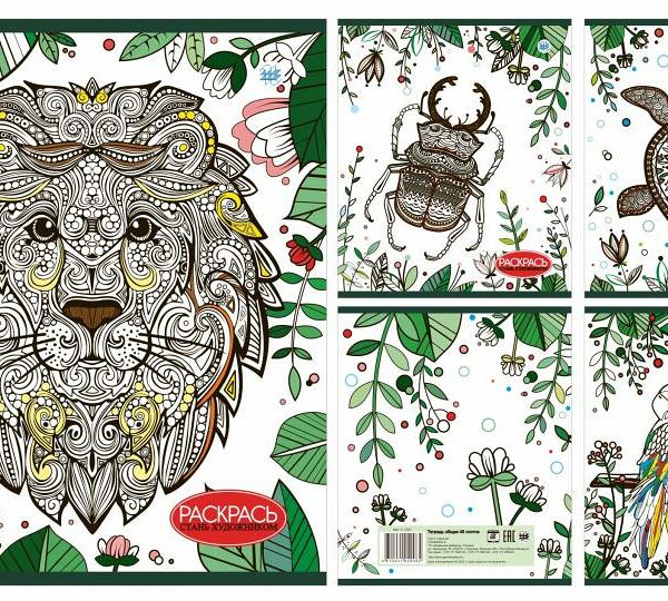 Тетрадь общая клетка 48л серия Стань художником-2 №336-23