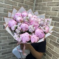 Изображение 4