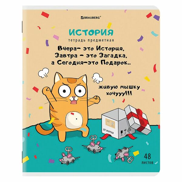 Тетрадь Brauberg Кот-Энтузиаст История предметная клетка 48л, 115г