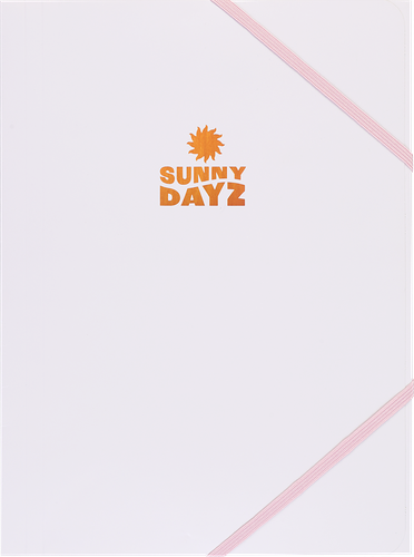 Папка для документов КРОК&ДИЛЛИ А4, на резинках, 2шт