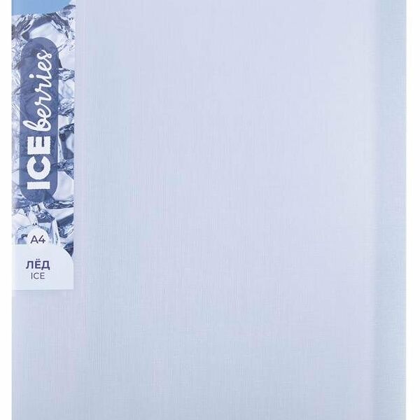 Папка Expert Complete Trend с вкладышами А4 лед, 20 л