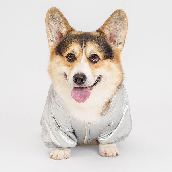 Комбинезон с капюшоном для собак, 5XL, серебряный (мальчик)