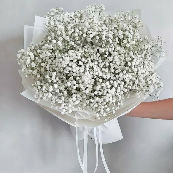 Воздушное белое облако из гипсофилы