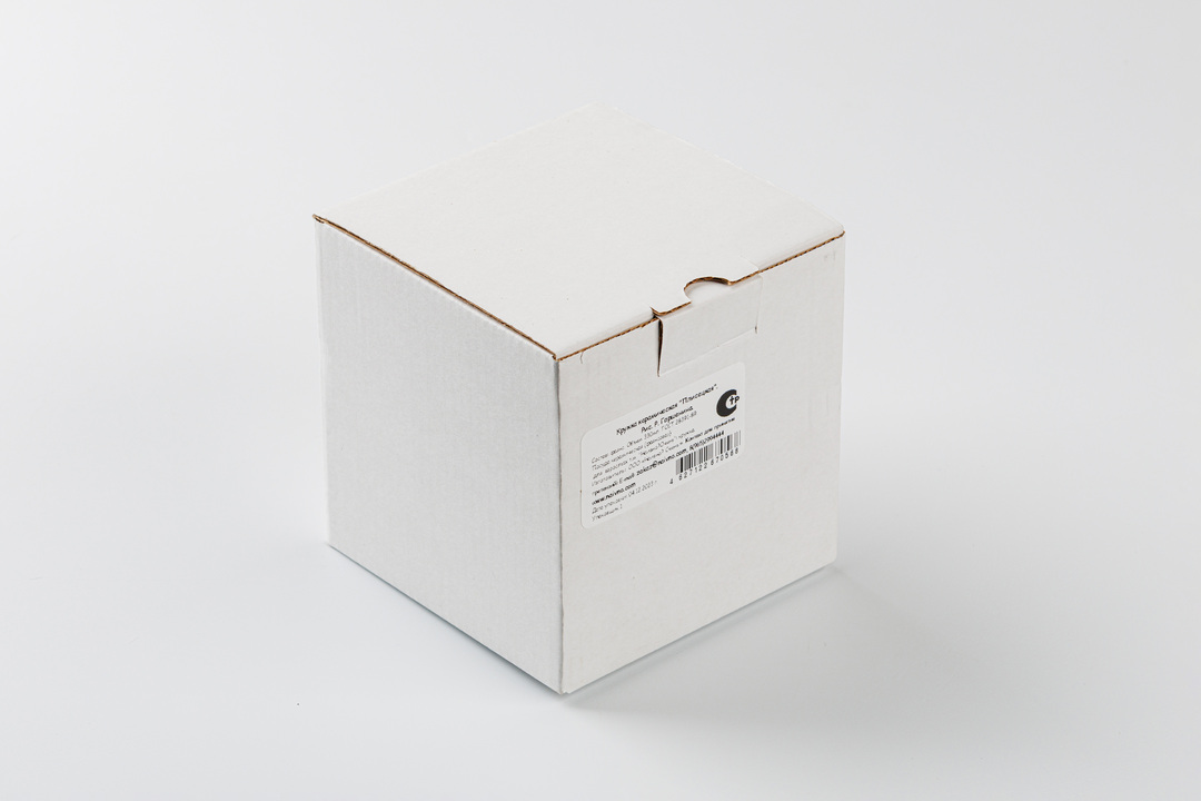 

Кружка Плисецкая 330 мл