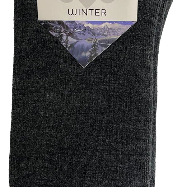 Носки мужские ХОХ Xz1462 махровые серы, 25 р