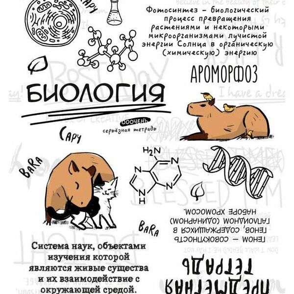 Тетрадь предметная Prof-Press Капибара Биология в клетку А5, 48 л
