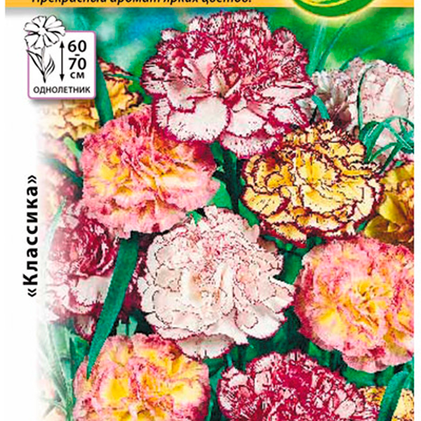 Семена Русский огород Гвоздика Шабо Пикоти, смесь, 0.1 г