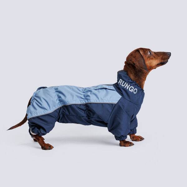 Комбинезон теплый для кроличьей таксы, 35x33x47 см, голубой-синий (мальчик)