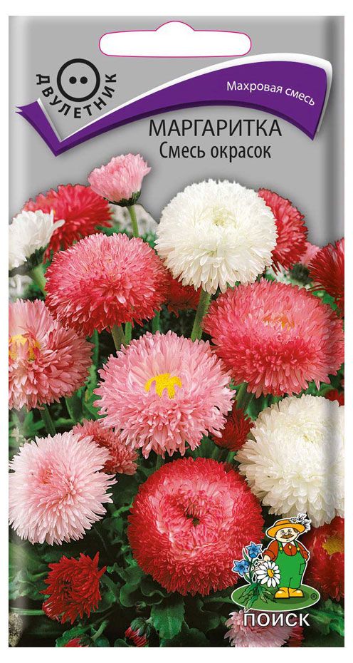 

Семена ПОИСК Маргаритка смесь окрасок