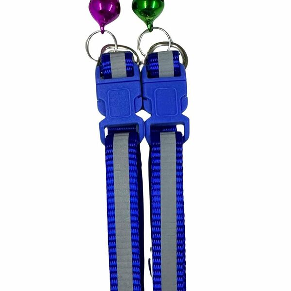 Ошейник светоотражающий синий  линия