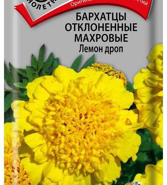 Семена Бархатцы отклоненные Поиск Лемон дроп махровые