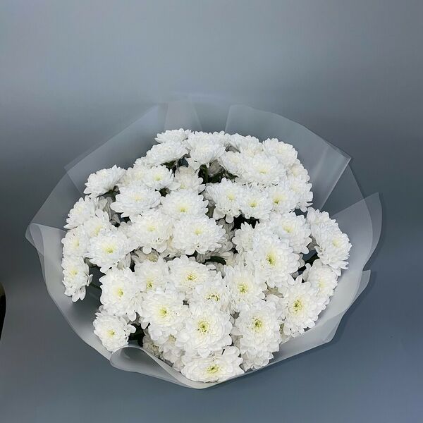 Поле хризантем