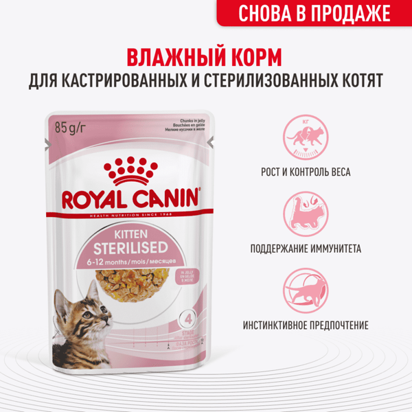 Влажный корм Royal Canin Kitten Sterilised для котят (кусочки в желе) Мясо 85г