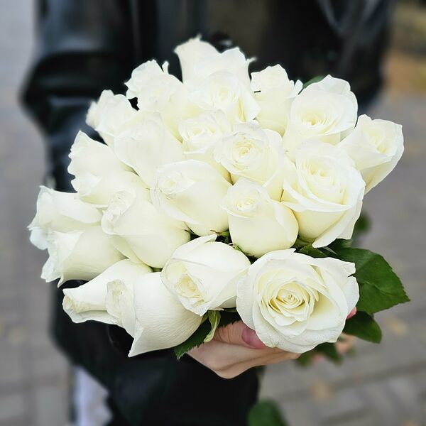 Кенийская белая роза 21 шт