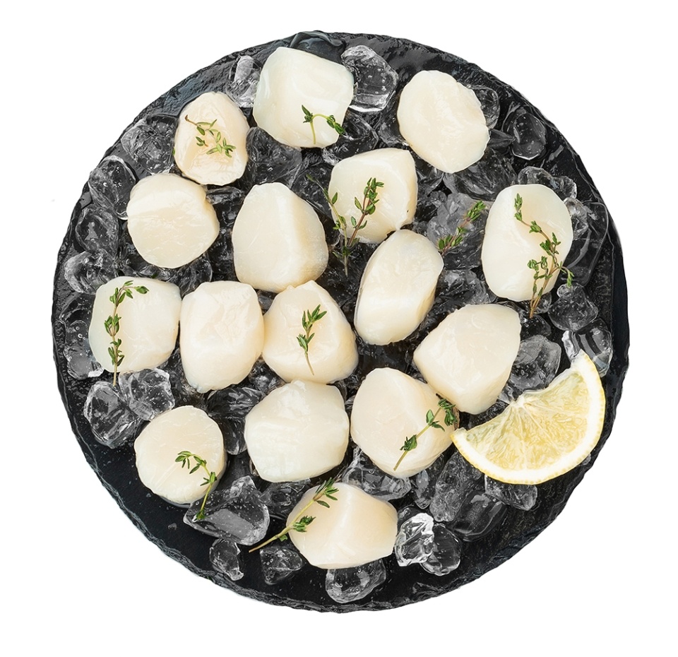 

Морской гребешок, калибр 10-20 шт в кг