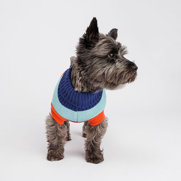 Свитер полосатый для собак, 35 см, красно-черный