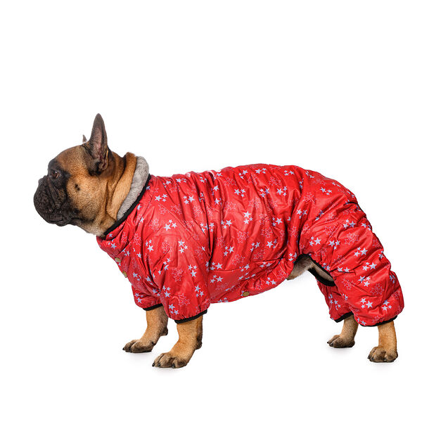 Комбинезон для собак M красный (девочка)