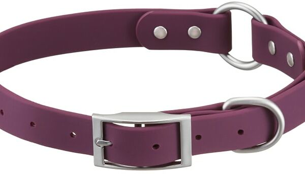 Ошейник для собак Pet-it водонепроницаемый с пряжкой и кольцом L 2.5см*43-58см до 50кг фиолетовый
