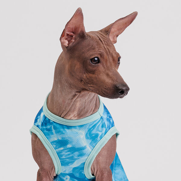 Футболка охлаждающая для собак, XL, голубая