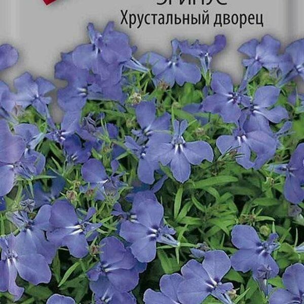 Семена Любелия Эринус хрустальный дворец ТМ Поиск