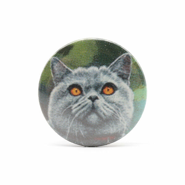 ИГ-2202 Магнитная игольница 'Серый кот' 25*3мм Hobby&Pro