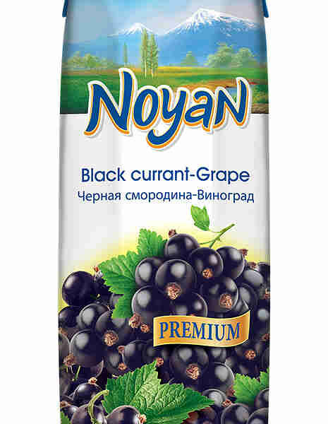 Нектар Noyan черная смородина виноград 1л Tetra prizma Армения