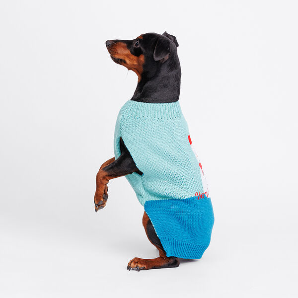 Свитер для собак Снеговик, 2XL, 41 см, сине-зеленый