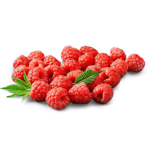 Малина Сезонная