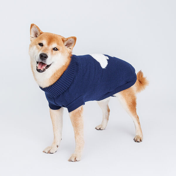 Свитер для собак, 50 см, синий с облачком