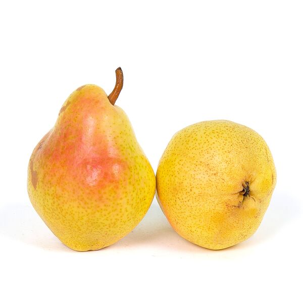 Груша дюшес