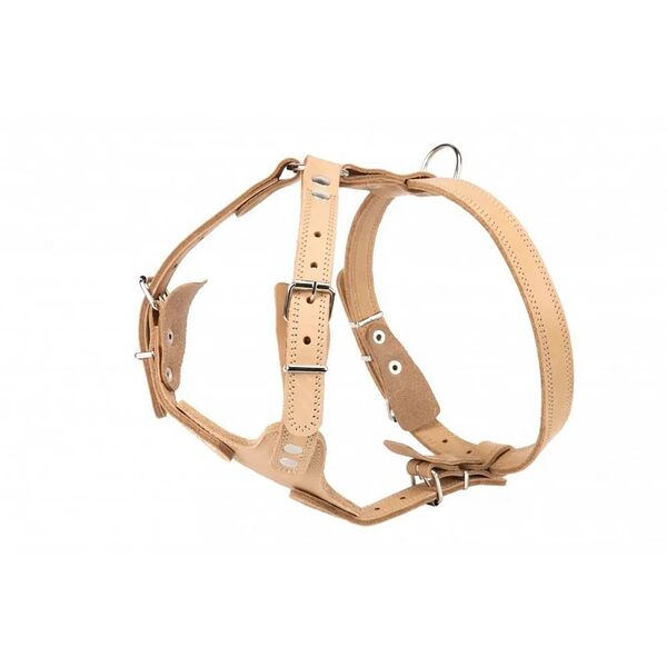 Шлейка для собак ш1в Аркон №1 водильная