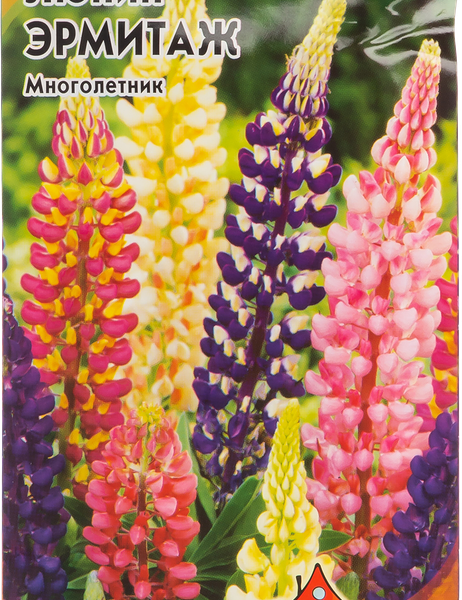 Семена Люпин Эрмитаж