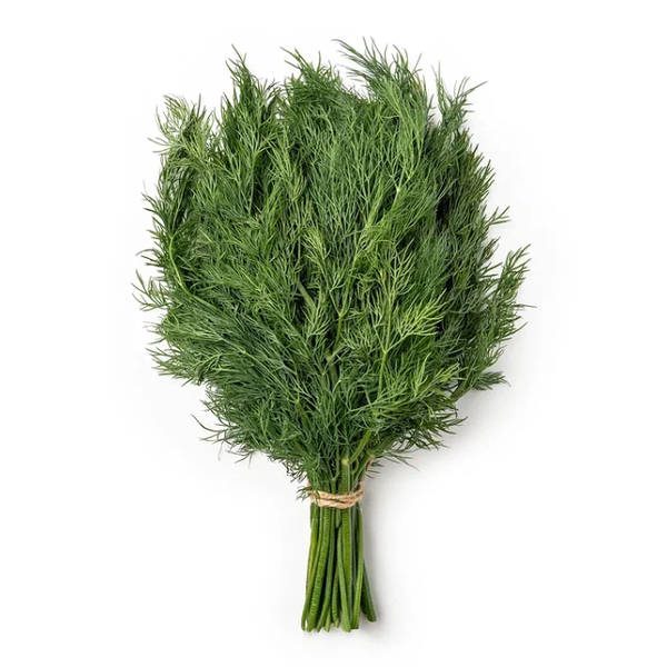 Укроп, «Просто Азбука»