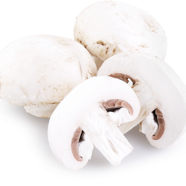 Грибы шампиньоны