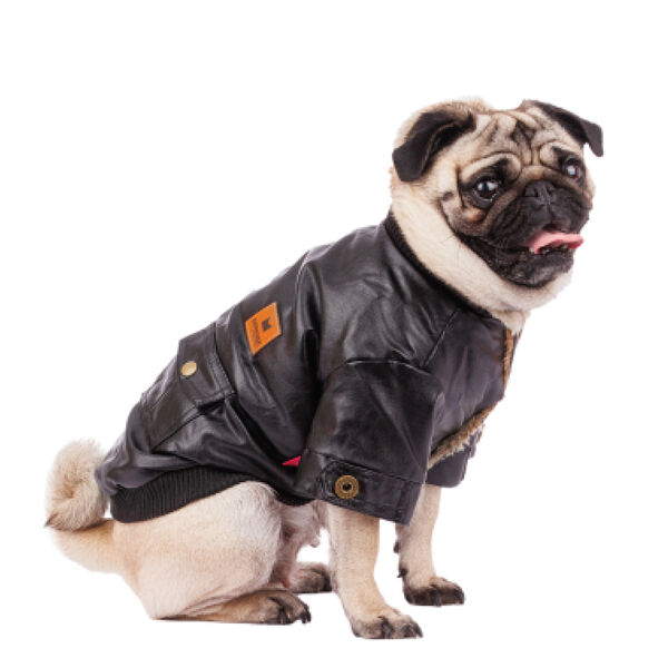 Куртка из кожзама с 2-мя карманами для собак M черный (унисекс)