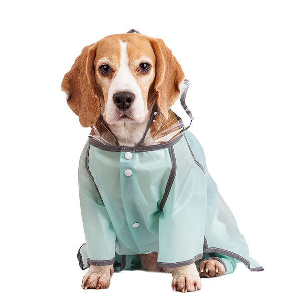 Дождевик для собак с ножками 3XL зеленый (унисекс)