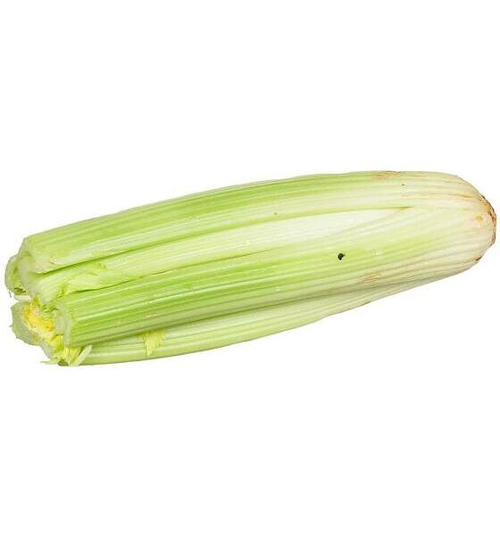 Стебель сельдерея