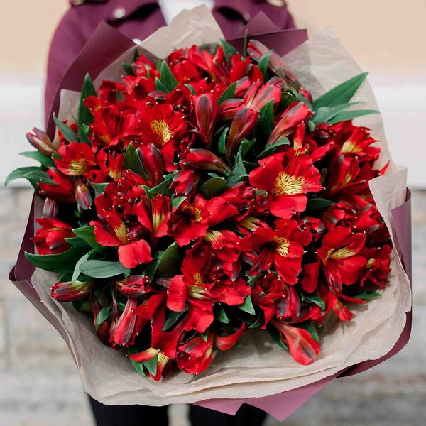 Букет из 25 красных альстромерий