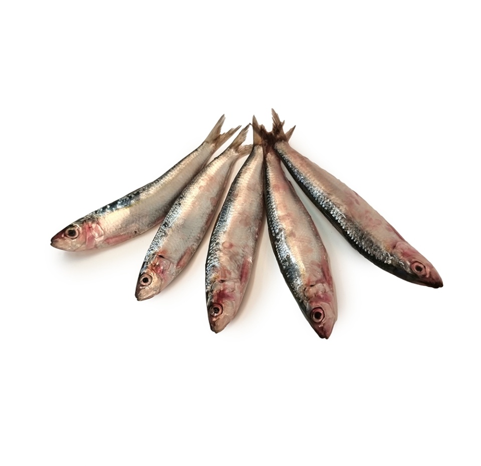 

Кефаль, Египет