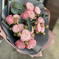 Изображение 4